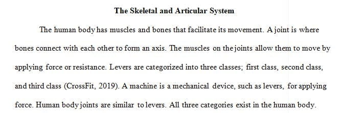 how bones and joints within the human body are comparable to simple machines and other devices