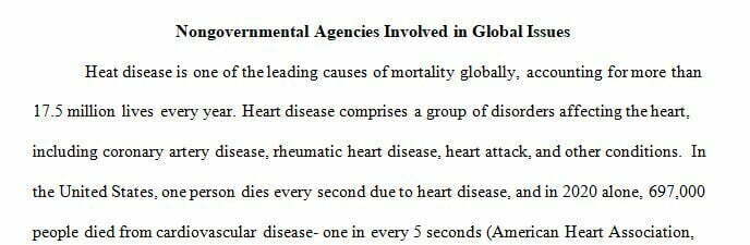 differences between NGOs and government-sponsored programs as it pertains to global public health.