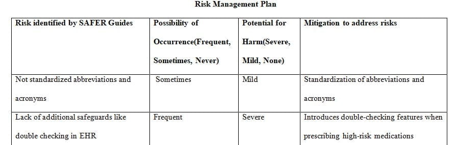 Create a risk mitigation plan and a 2-4 page explanation of your plan