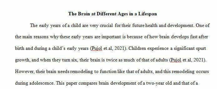 explore the brain at different ages in the lifespan