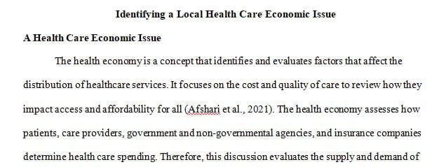 Write a brief 2-3 page report about a health care economic issue that you have identified