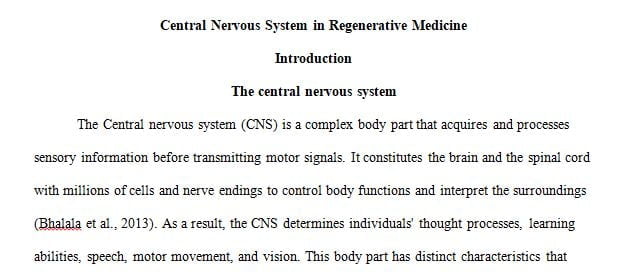 Central Nervous System in regenerative medicine