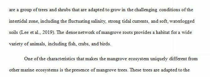 Atmospheric Movement in Marine Ecosystems