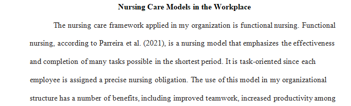 nursing care model