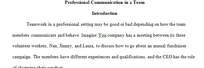 You will analyze professional communication