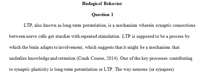 role in memory formation.