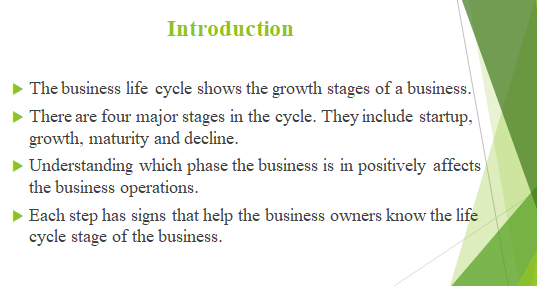 describe the stages of the business lifecycle