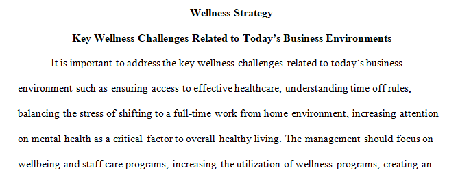 wellness strategy paper 