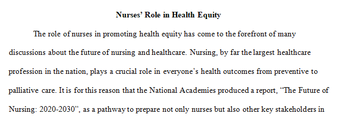 nursing theory