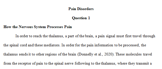 nervous system processes pain 