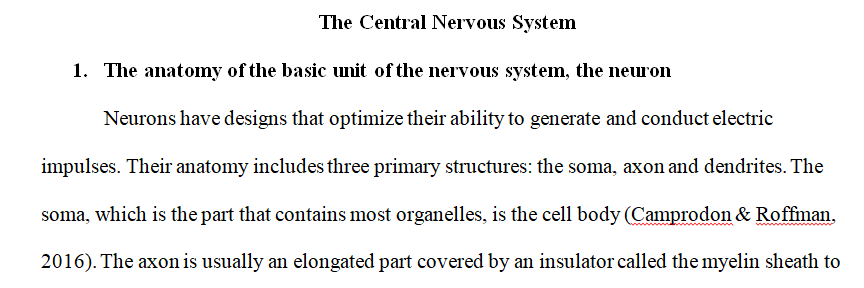 basic unit of the nervous system