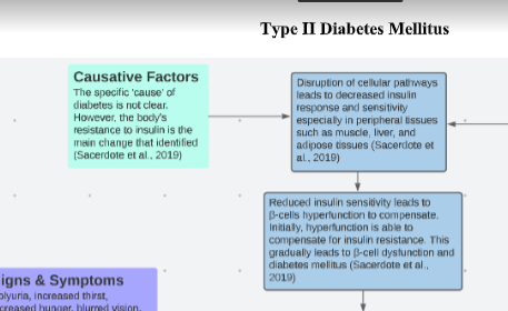 Diabetes Mellitus