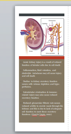 renal function and urinary tract function