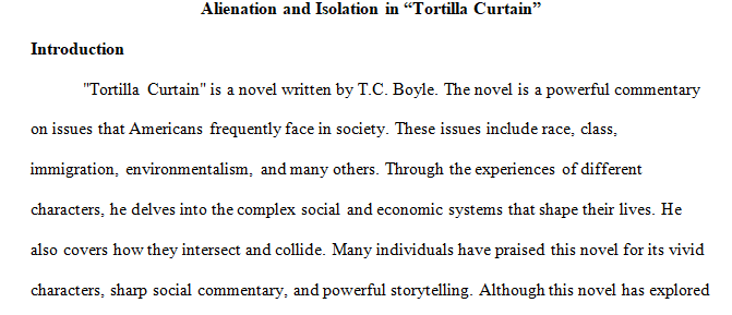 Is Tortilla Curtain a predominantly political