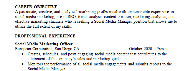 social media manager