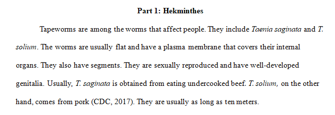 important eukaryotic microorganisms